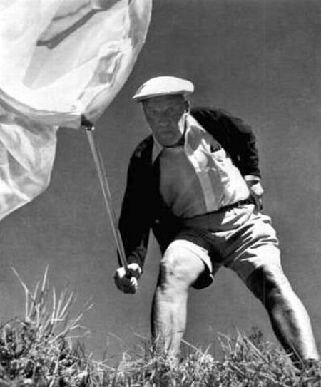 Nabokov hunting butterflies