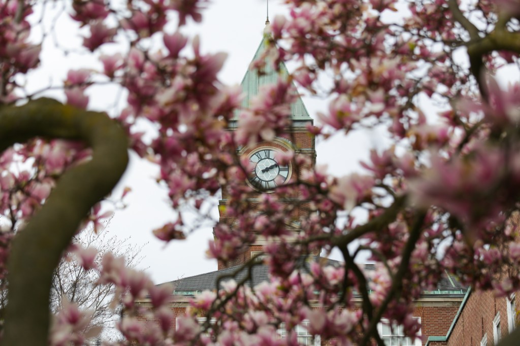 Poetry & Photography – Cherry Blossoms at&nbsp;UCC