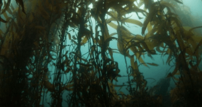 In the Unknown&nbsp;Water